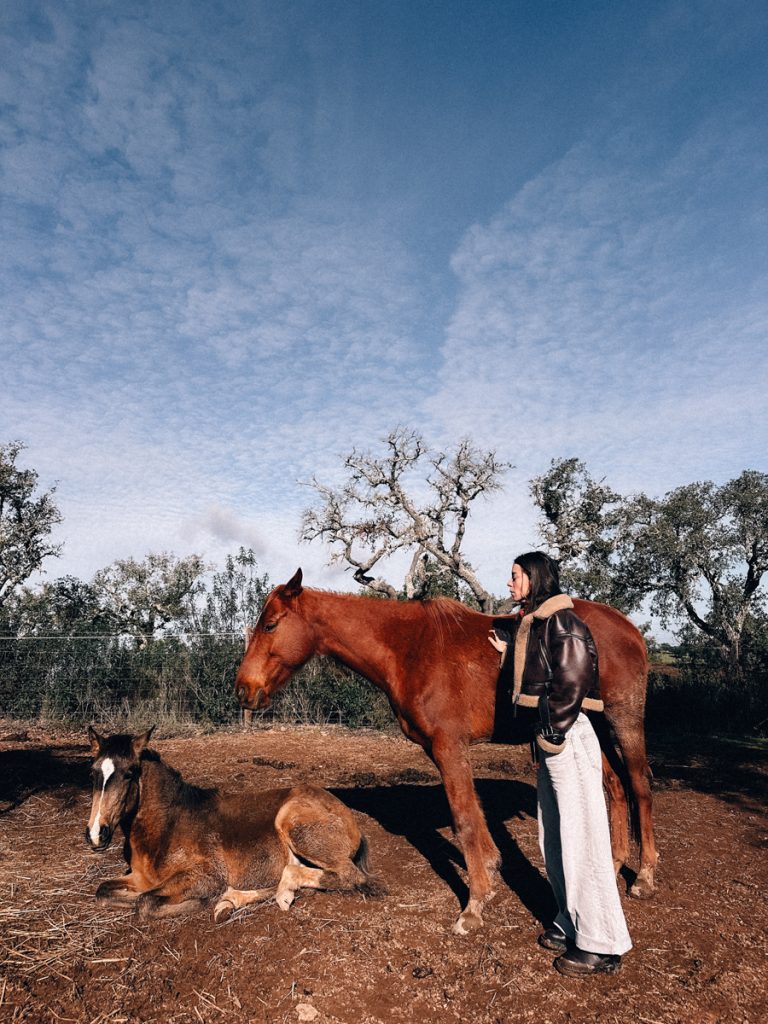 Pferd und Mensch im Alentejo – Ahnenarbeit mit Kathrin Stahl