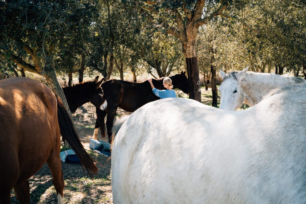 Atmen und Ankommen – Retreat in Portugal