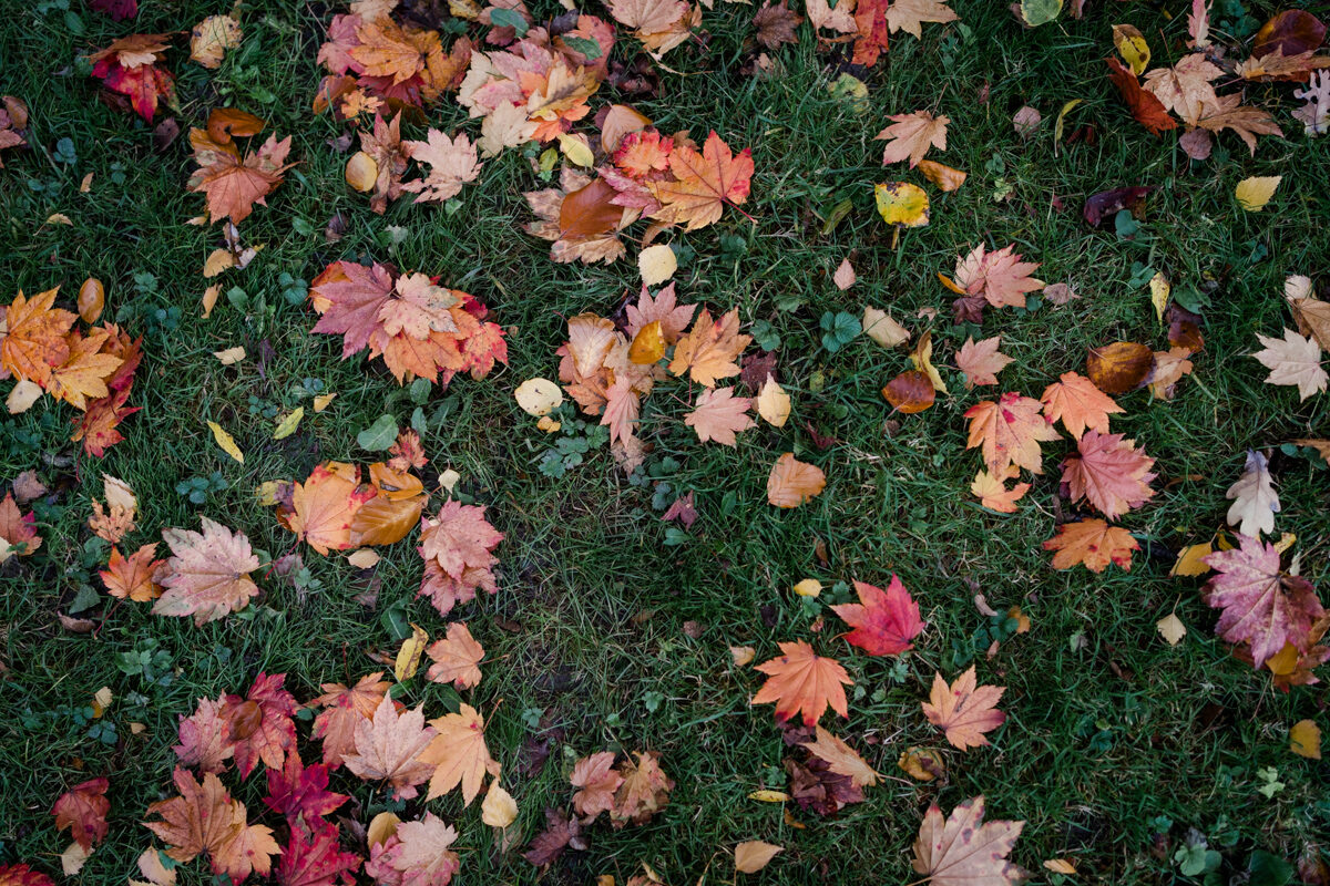 Mit allen Sinnen: Achtsamkeit für mehr innere Ruhe