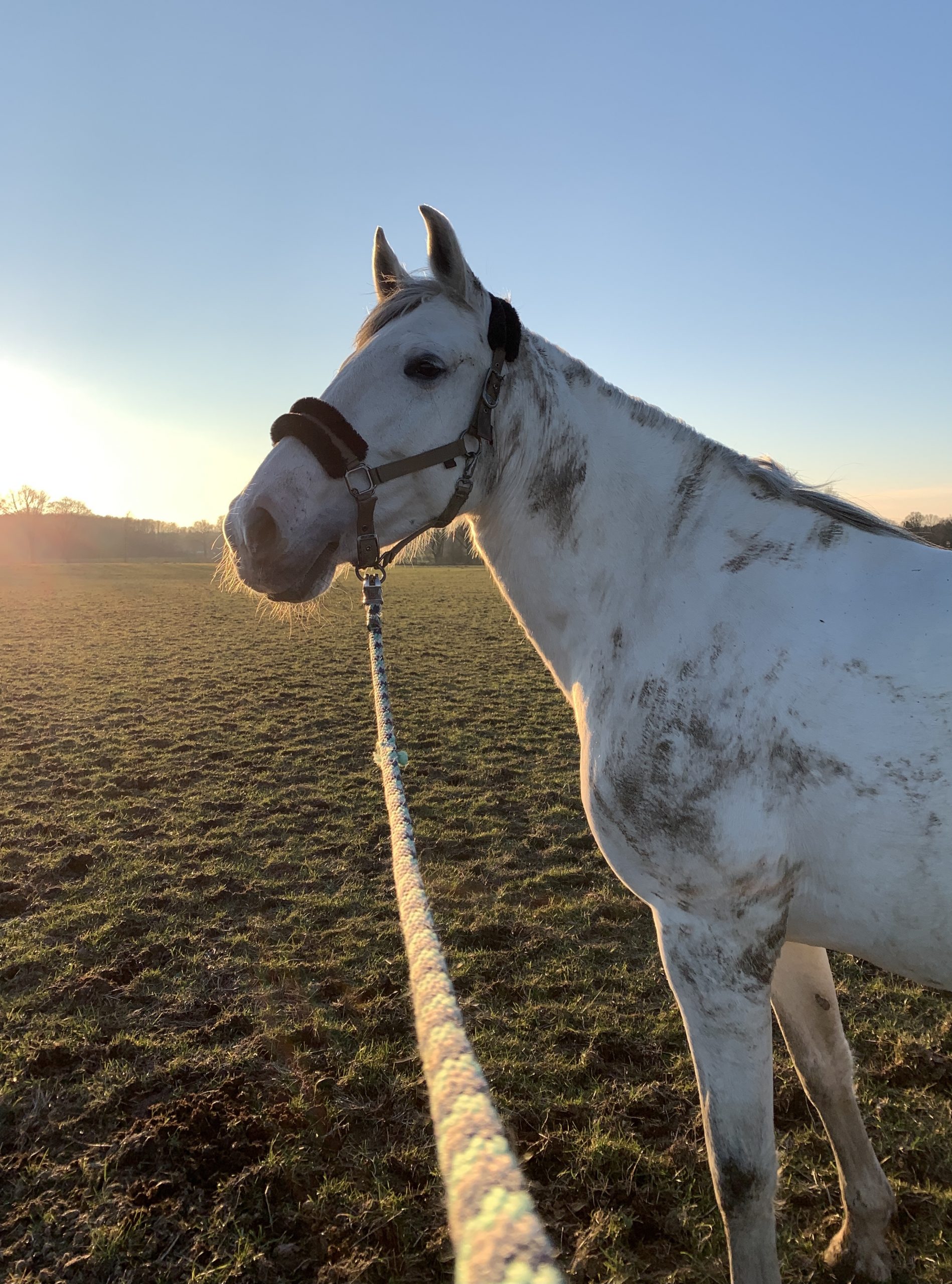 Angst, Achtsamkeit und Frieden