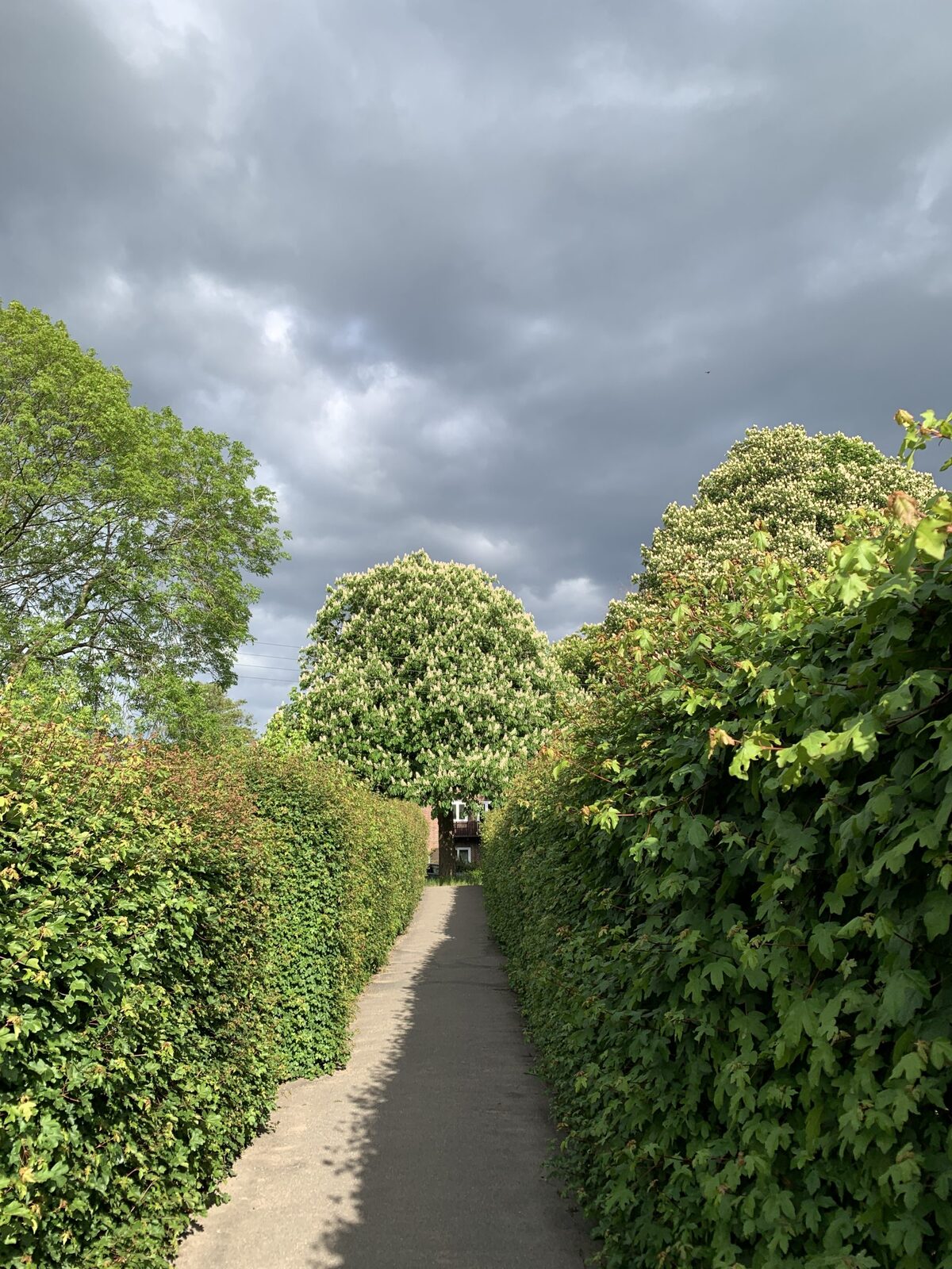 Können wir Leben planen?