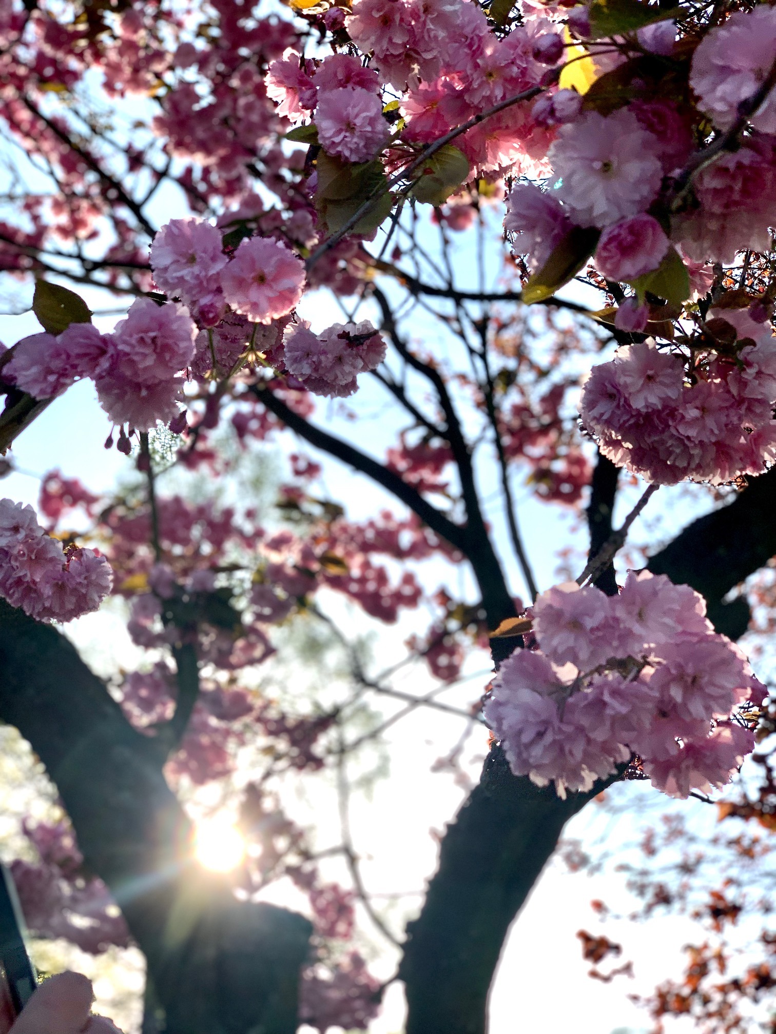 Letzte Male & Abschied