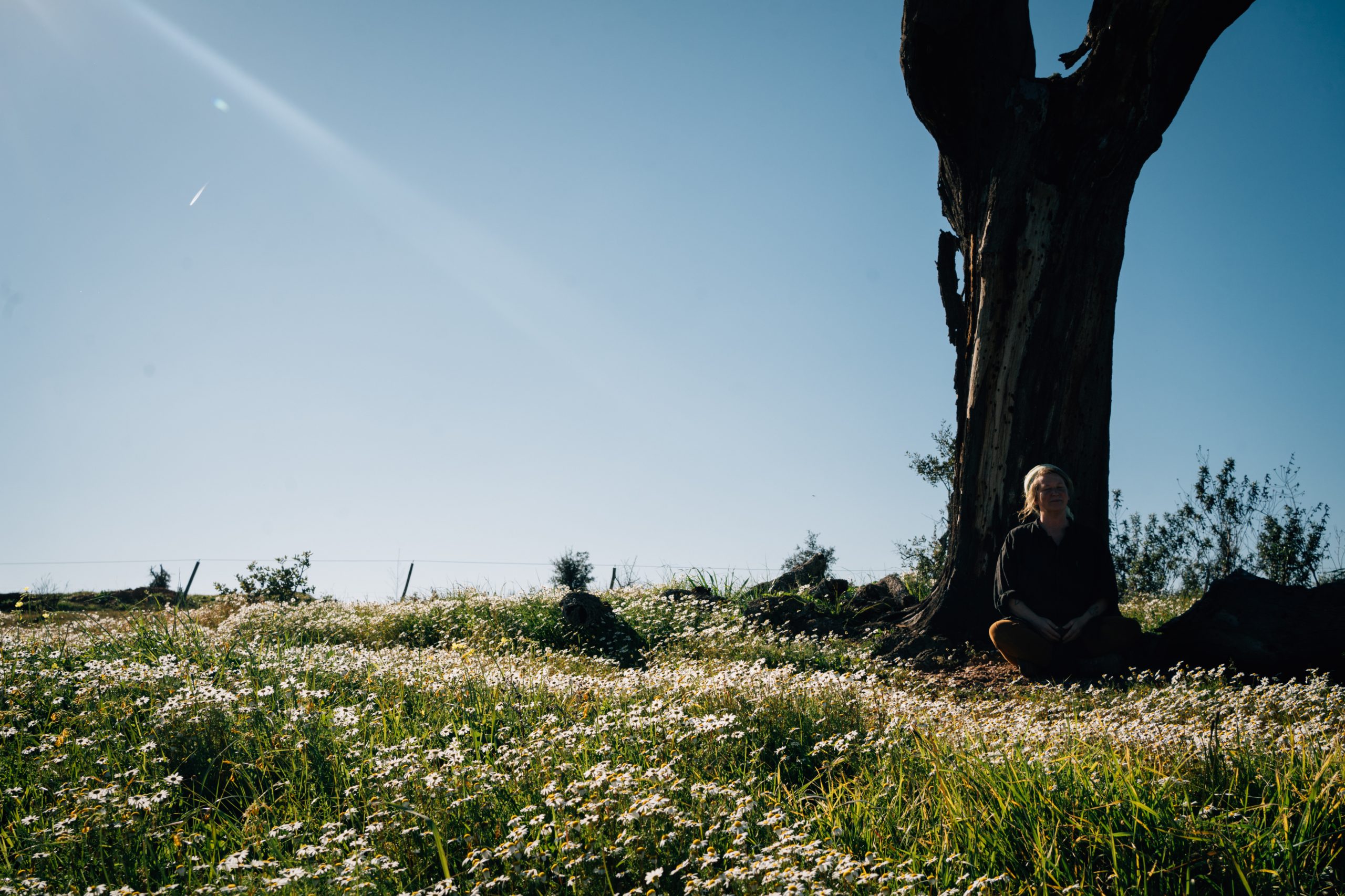 Stille ist Heilung