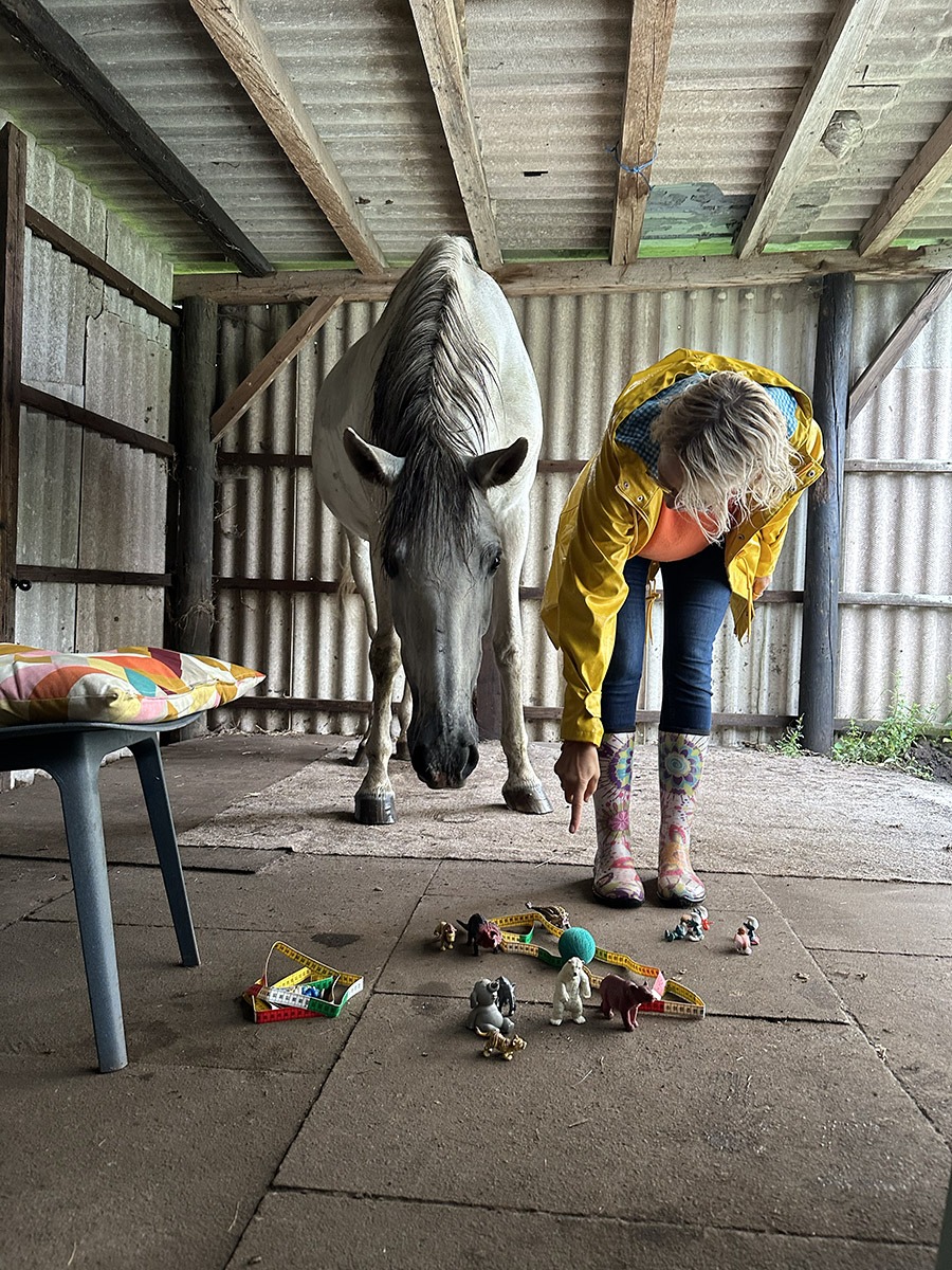 Systemische Aufstellungen: Befreie dich von alten Familienmustern