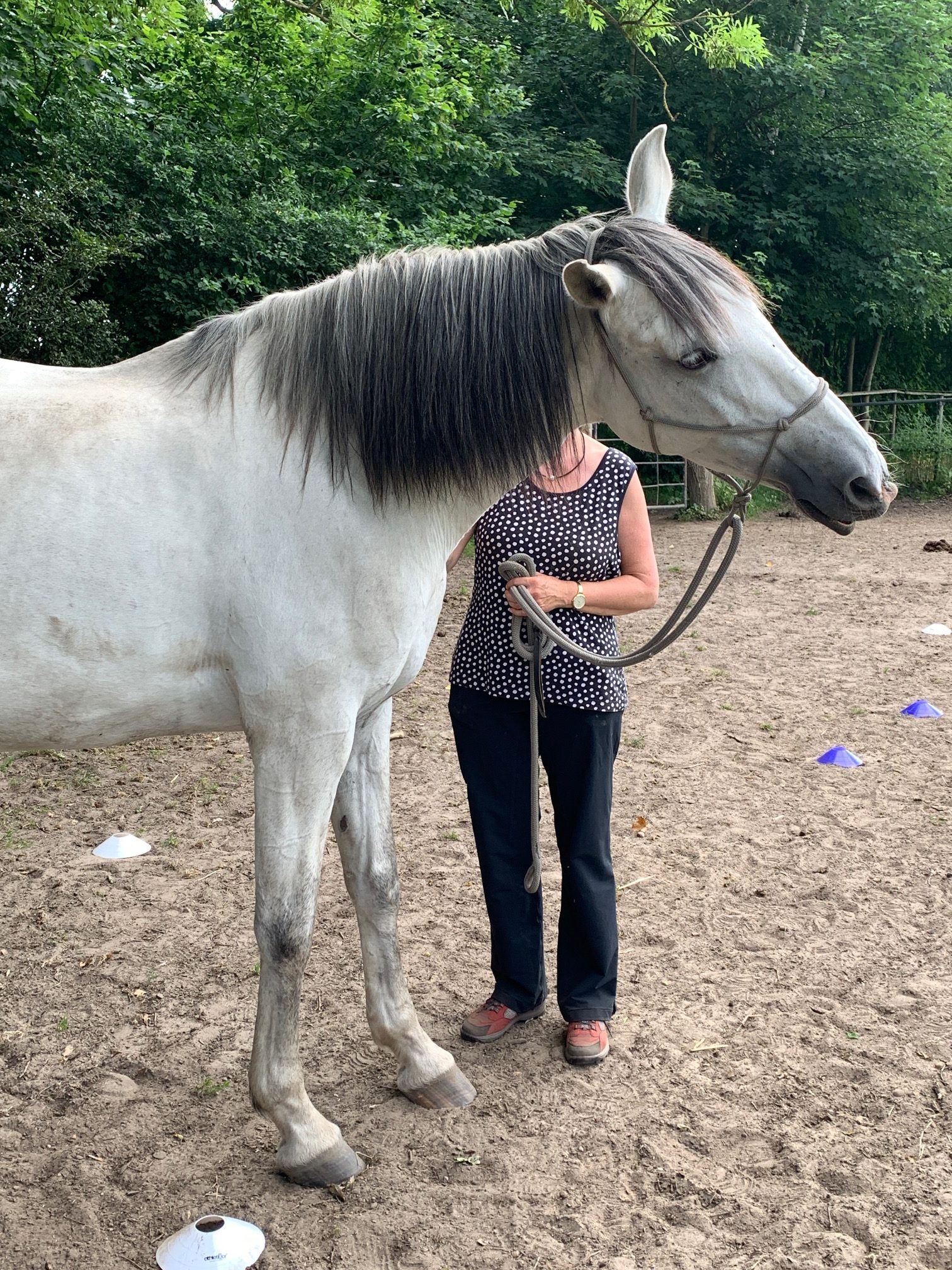 Was ist wirklich wichtig?