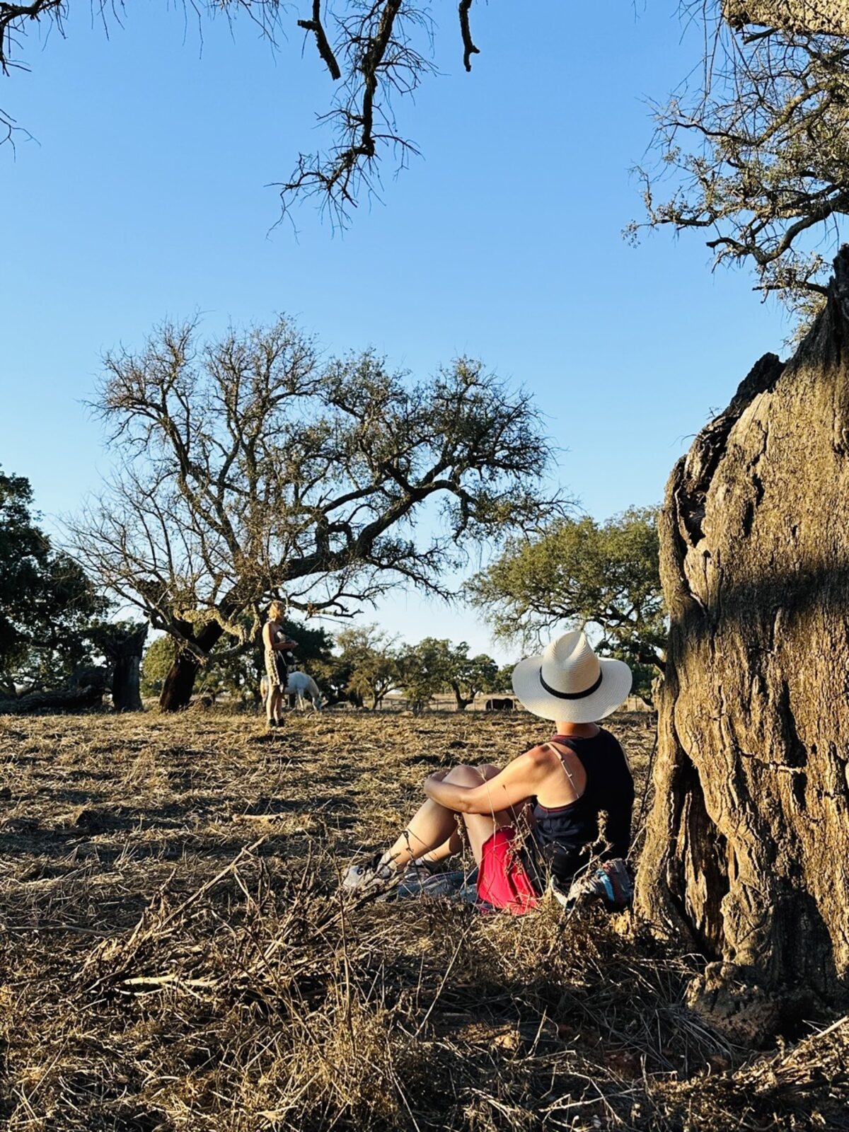 Die Weite des Alentejo in Portugal