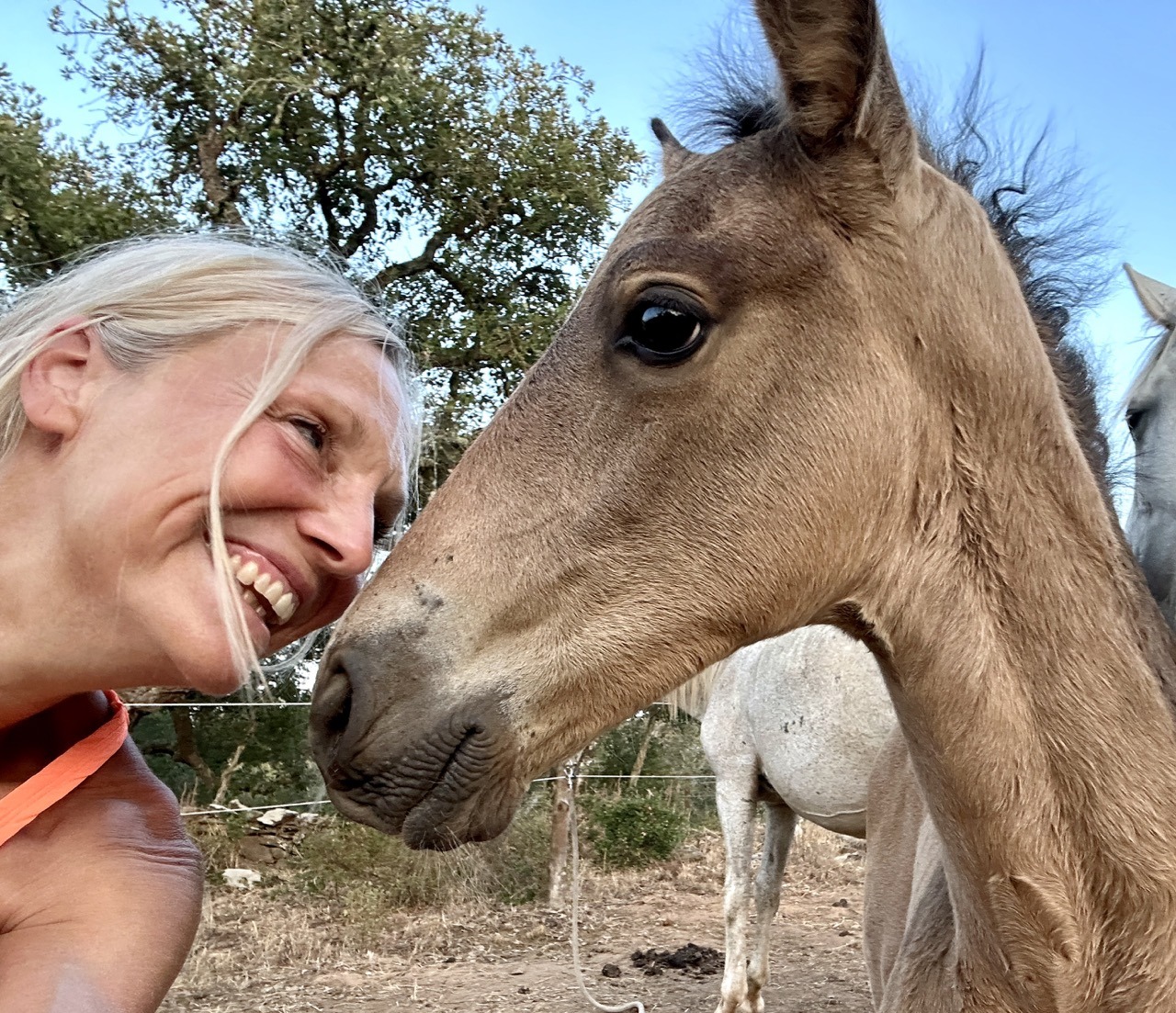 Einzelretreat in Portugal – Neuanfang wagen