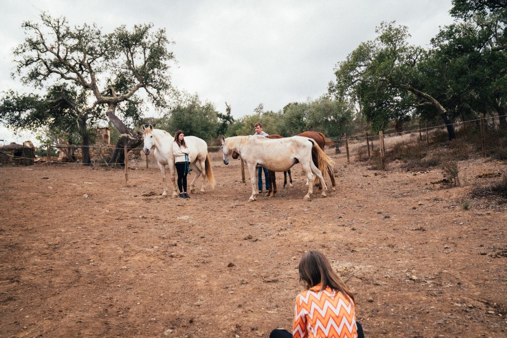 Retreat mit Pferden in Portugal – Begegnung im Alentejo