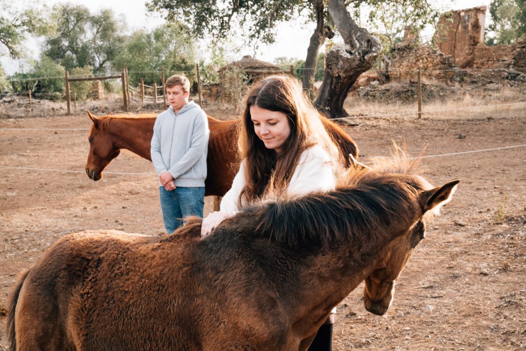 Retreat mit Pferden in Portugal – Stille und Verbindung im Alentejo