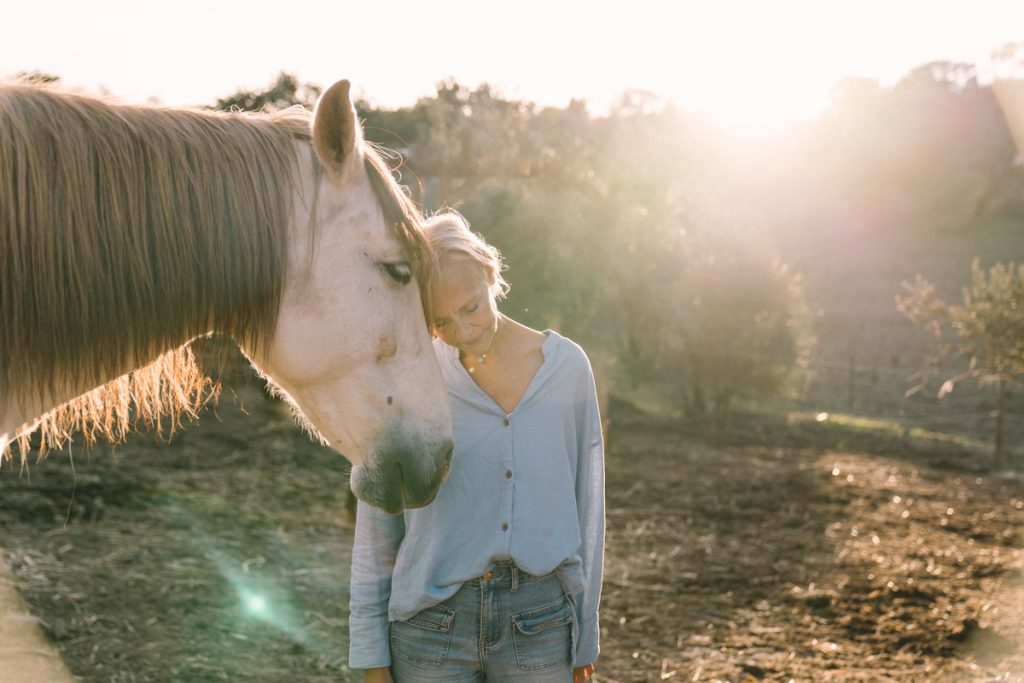 Pferde im Alentejo bei Kathrin Stahl