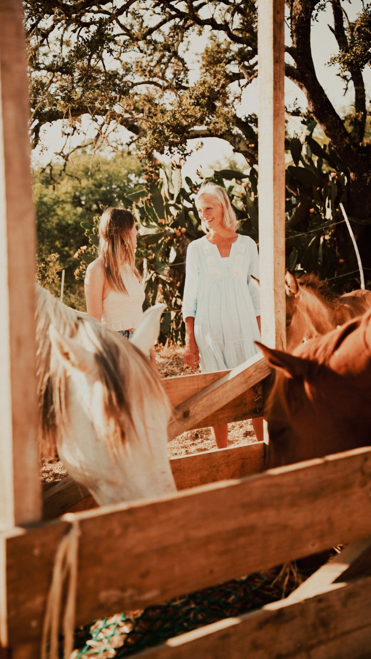 Kathrin Stahl mit Klientin beim Gruppenretreat mit Pferden im Alentejo