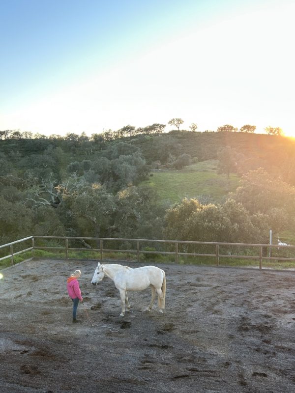 Begleitung im Alentejo – Klientin im stillen Moment mit Pferd