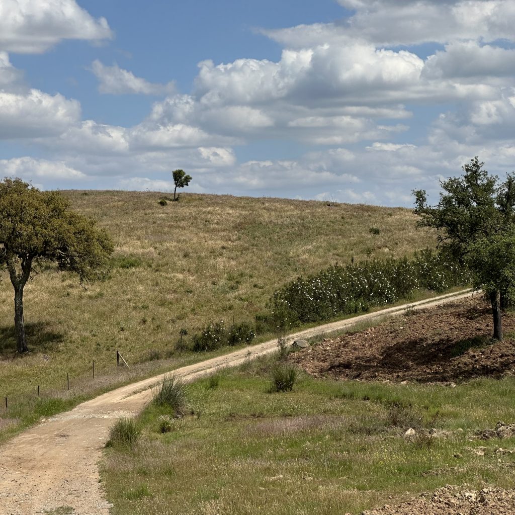 Casinha do Alentejo – R&uuml;ckzugsort im Alentejo